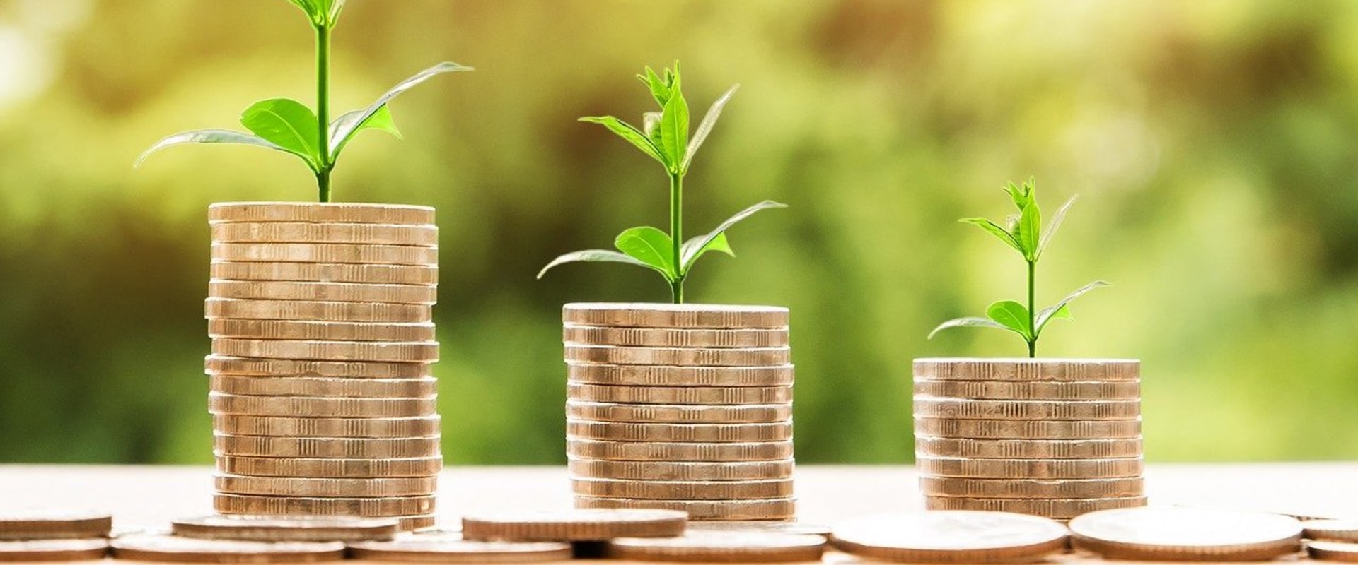 Reduce Waste and Save Money: A Guide to Living Frugally and Sustainably