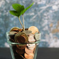 Automating Savings: The Ultimate Guide to Managing Your Finances and Saving Money